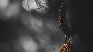 Adeel Baloch | Hani Boro Boro | Balochi WhatsApp Status | Balochi Videos | Ssd DoSt