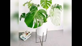 Flower Pots and Planters from JSspinning.