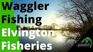 Ловля плотвы и леща на вагглер в Elvington Fisheries York