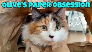Past to Present - Olive's Paper Obsession