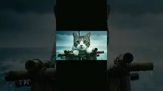 Is it about a cat, animal, storm, rescue, funny scene, etc.? #fanedit #cute #cat #bestgenre #cute