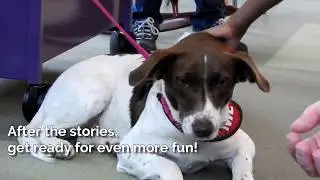 Furry Tales with the Greenwood Humane Society