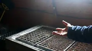 Germinate Seeds FAST With an Easy DIY Seedbed Warmer