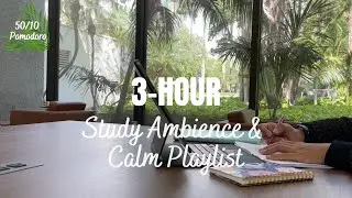 3-Hour Study 📚 Background noise/ low calm music playlist/ 50/10 Pomodoro
