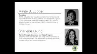 Webinar w/ Mindy Lubber: Most Insurers Not Prepared for Climate Change