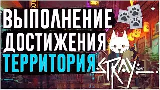 Stray | Достижение Территория | Где найти места для царапания?