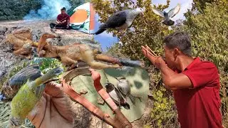 Amazing Hunting Bird slingshot 💀|asmr Hunt & camping|How to use Survival skills 