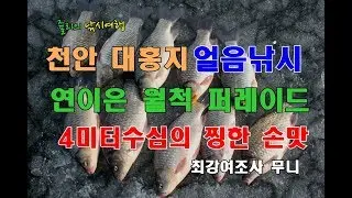 천안 대홍지 월척 퍼레이드, 연이은 월척 행진
