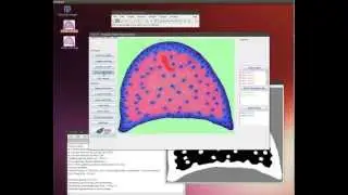 Trainable Weka Segmentation - how to segment color images using 3 classes