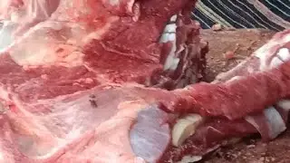 classic beef meat  and bone cutting skills in  Bangladesh #beef # meat # bone # cutting #video