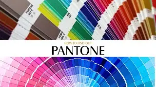 How to Find Pantone Shades l #explorewithdryogeshbokil