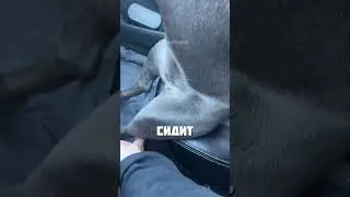 ТАК УДОБНЕЕ @tavriyavlg