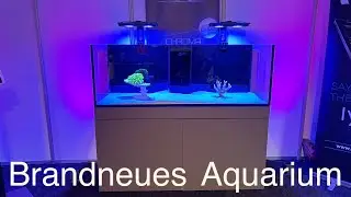 Vivarium 2024| Das neue Giesemann MeerwasserAquarium CHROMA
