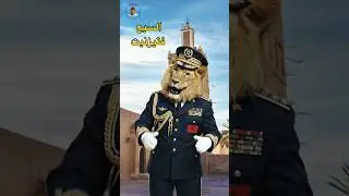 السبع فتيزنيت وكيتحدا عسيلة 🦁♓️ #المغرب #تيزنيت #تافراوت #السبع #عسيلة #قردوش #كأس_إفريقيا_المغرب