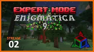 Enigmatica 9 EXPERT Mode - Day 2 Stream VOD