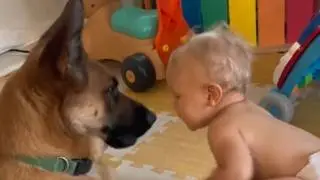 35 Kilo SCHÄFERHUND erschreckt alle – Bis sie sahen, WAS er beim Baby machte 😱💕