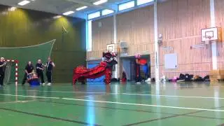Lejondans &Ouml;rebro 12/11-2011
