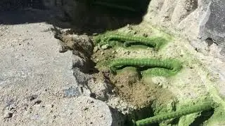 #3 - Placerita Pool & Spa Crack Repair
