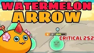 NEW RANK 1 PLAYS WITH WATERMELON AND REVENGE ARROW COMBO | AXIE INFINITY CLASSIC