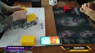 Esper Affinity VS MonoU Faeries (pauper)