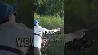 Fishing a power plant spillway loaded with fish #fishing