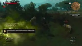 The Witcher 3  Wild Hunt Barghest
