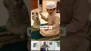 cat love boy&Allah.. #youtubeshorts #cat #cats #catvideos #catshorts #catlovers