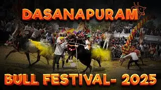 Dasanapuram Bull Festival 2025 | Grand Jallikattu Celebration | Athukattu Highlights