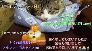 【田舎暮らし】ちくわ部部長 新しい年に心機一転色んな事をやりたい挑戦したいと思った 初老45歳の回  #農業 #地方 #自然