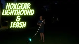 Обзор светящейся шлейки и поводка для собак Noxgear Lighthound