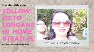 Longan Farming in Homestead | TravelMidlife.com