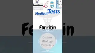 Ferritin I Blood test I Diagnostic test I Pathology test I Pronunciation