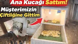 M&uuml;şterimin &Ccedil;iftliğine Gittim! Civcivler Donmasın Diye Ana Kucağı Kurduk 🐥❄️