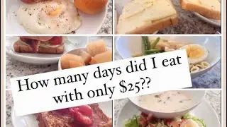 EXTREME GROCERY BUDGET CHALLENGE! $25 for...?