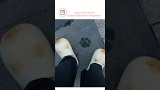 No tiger invasion, just my new slippers.&rdquo;#cat #slippers #cute #catlover #funnyshoes #relatable