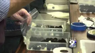 Oregon Truffle Festival Highlights Local Food