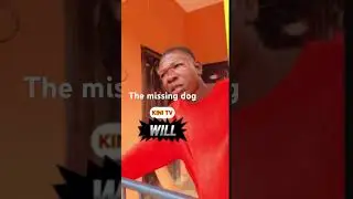 The missing dog #funny #comedymove #likeandsubscribe #dog #kinitv中文频道