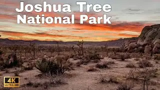 SUNSET WALK Joshua Tree National Park, Hidden Valley - 4K