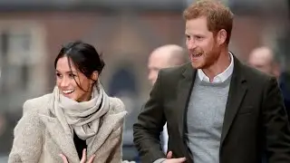 &lsquo;More international travel and collaboration&rsquo;: Sussexes plan exciting projects for 2024