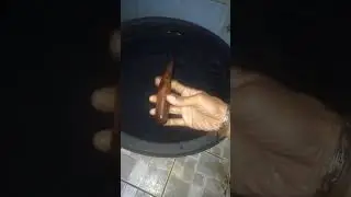 Kayu Sentigi/Stigi