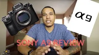 Sony A9 Wedding Photographer Review
