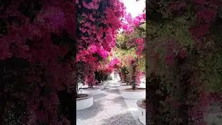紅色的隧道，red tunnel