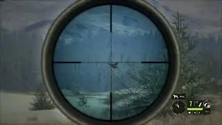 Bird Snipin