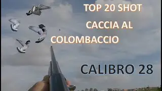 🇮🇹CACCIA: CACCIA AL COLOMBACCIO IN CALIBRO 28-TOP SHOT 20