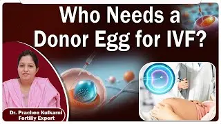 Can IVF with a Donor Egg Lead to a Successful Pregnancy? || Best Fertility Center || Ferty9