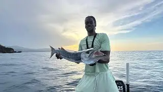 Monster Barracuda Catch at Sunset Epic Offshore Fishing Adventure