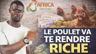 3 Astuces Pour Gagner Plus d'argent Avec L'&eacute;levage de Poulets