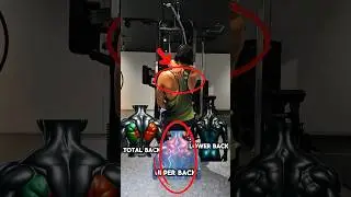 Unleash your backpower!🔥Build strength&size!#BackWorkout #LatSpread#TrapTraining #LowerBackPower#筋トレ