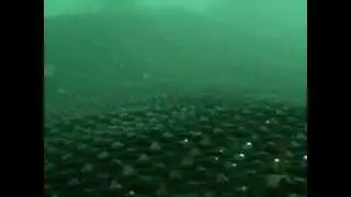 DSCN6935