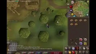 Ultimate Ironman (UIM) Construction